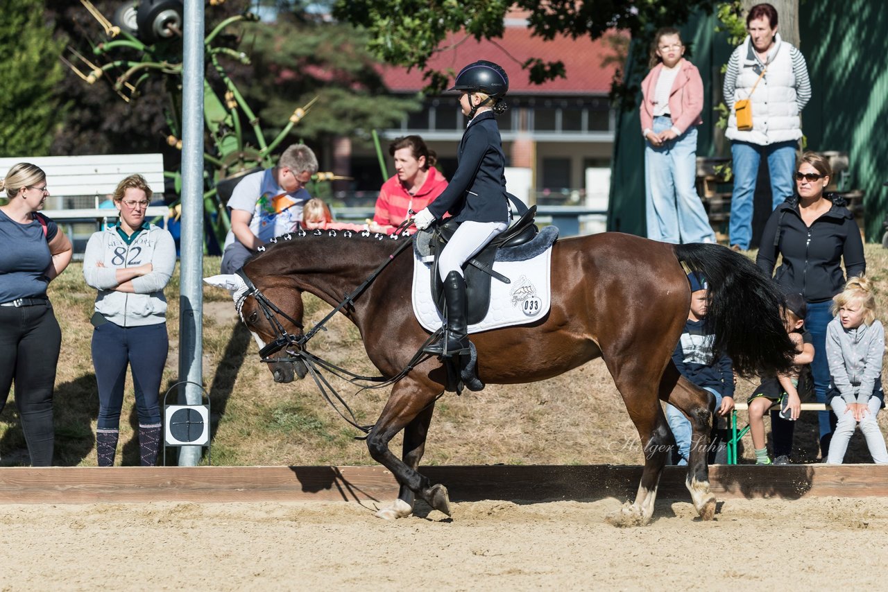 Bild 20 - Pony Akademie Turnier